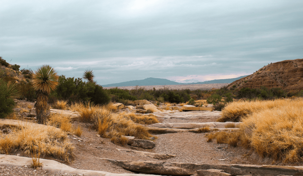 The Cross Texas Trail: A New Adventure Awaits