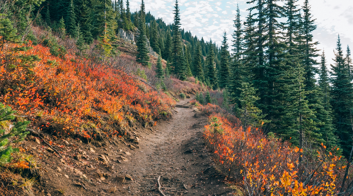 The Appalachian Trail’s Living Legend: The Story of Warren Doyle