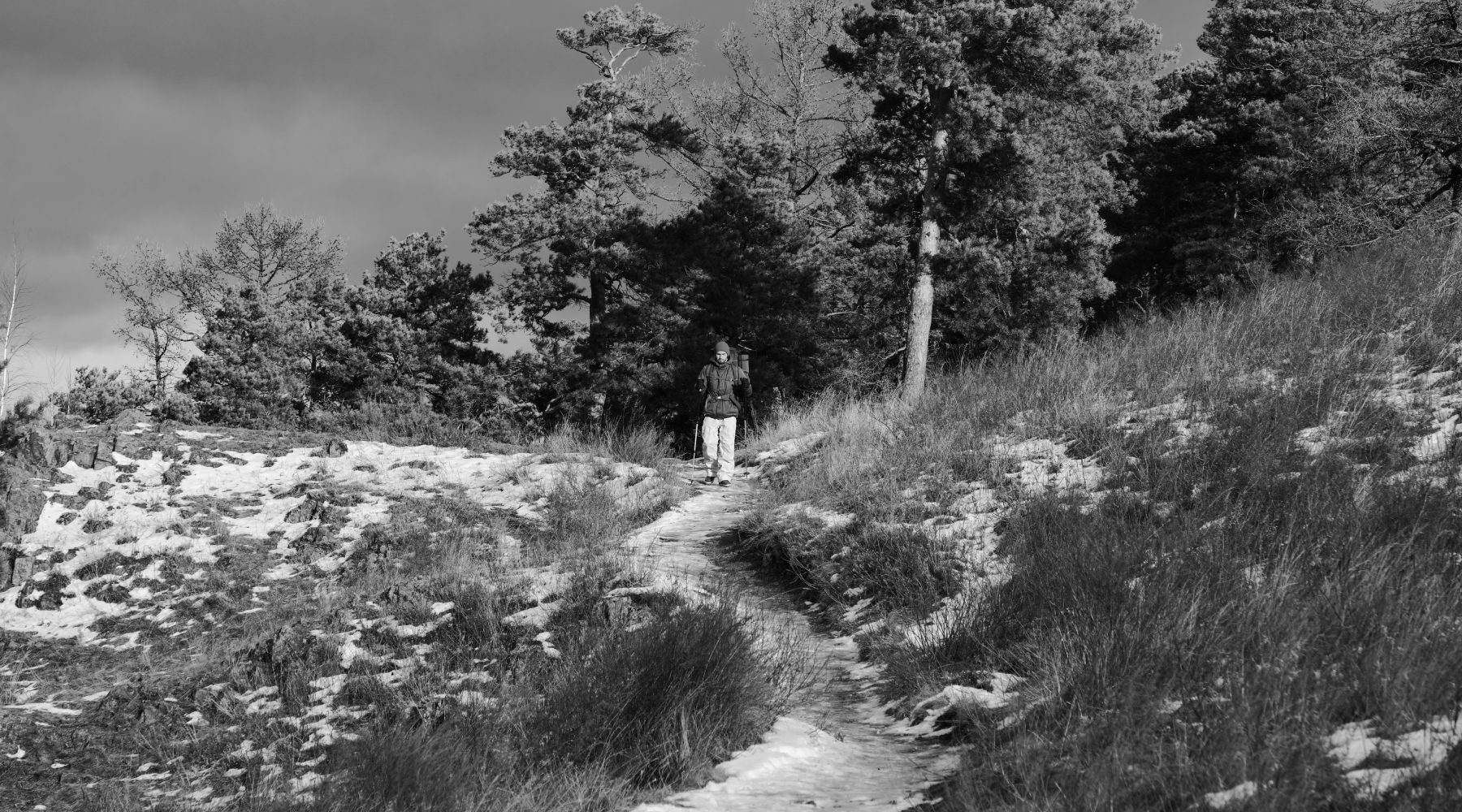 Thanksgiving in the Wild: The Untold Legacy of Grandma Gatewood’s Epic Appalachian Journey